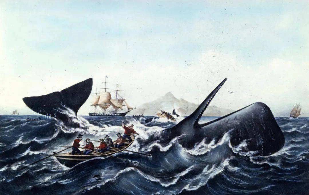 读利维坦美国捕鲸史