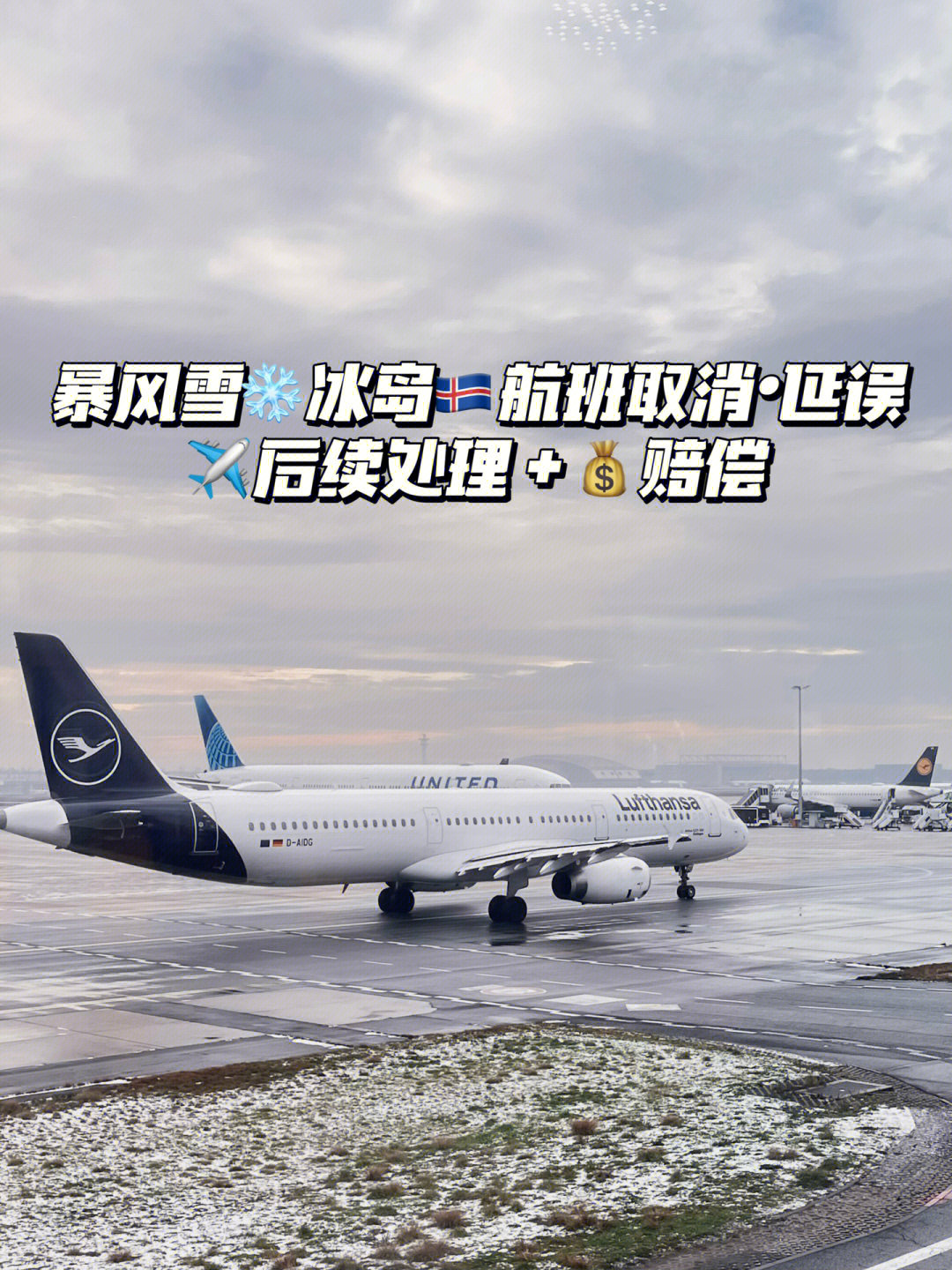 本来航班是汉莎航空的,9990德国7615冰岛9494雷克雅未克