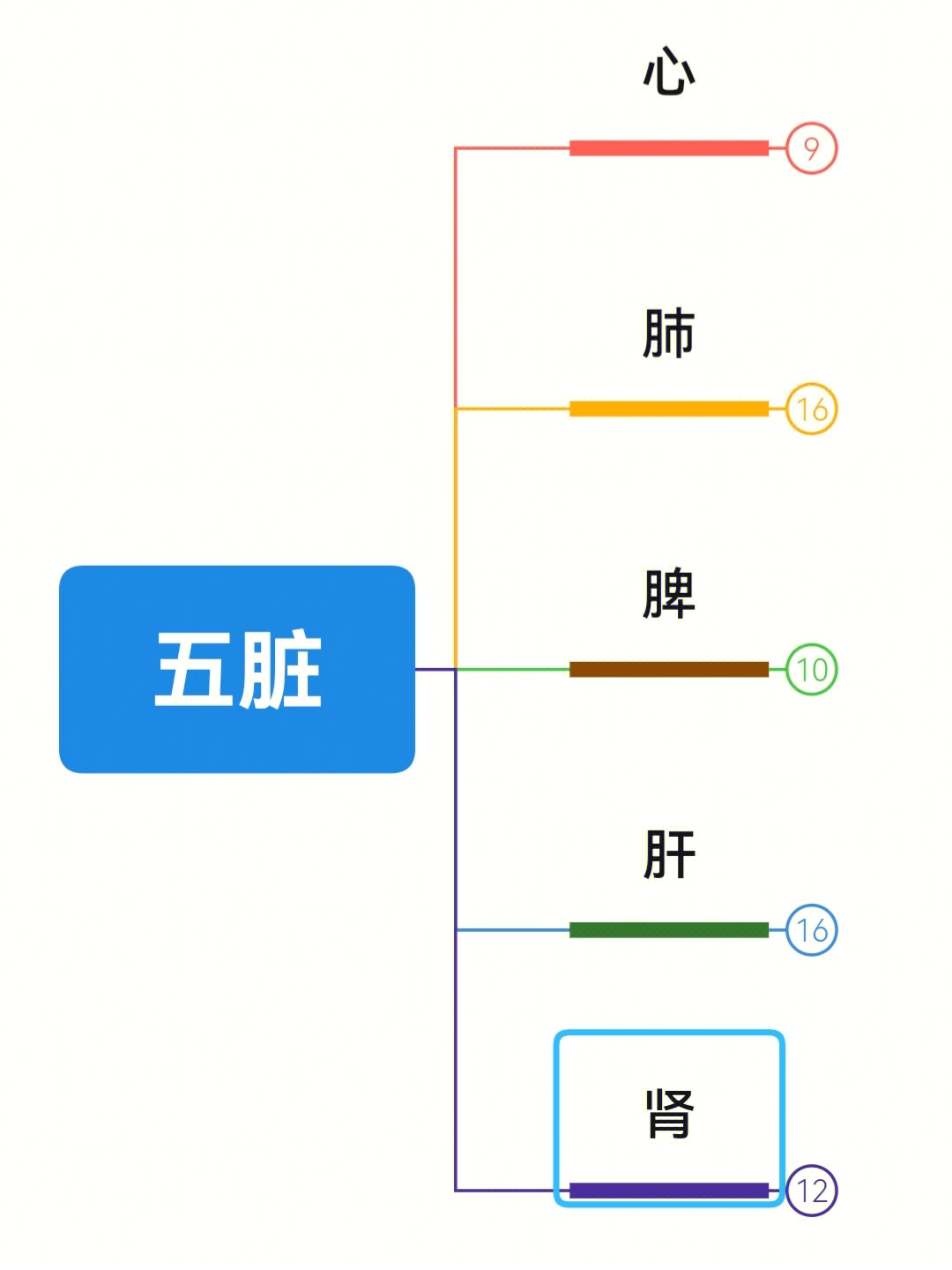 五脏六腑关系思维导图图片