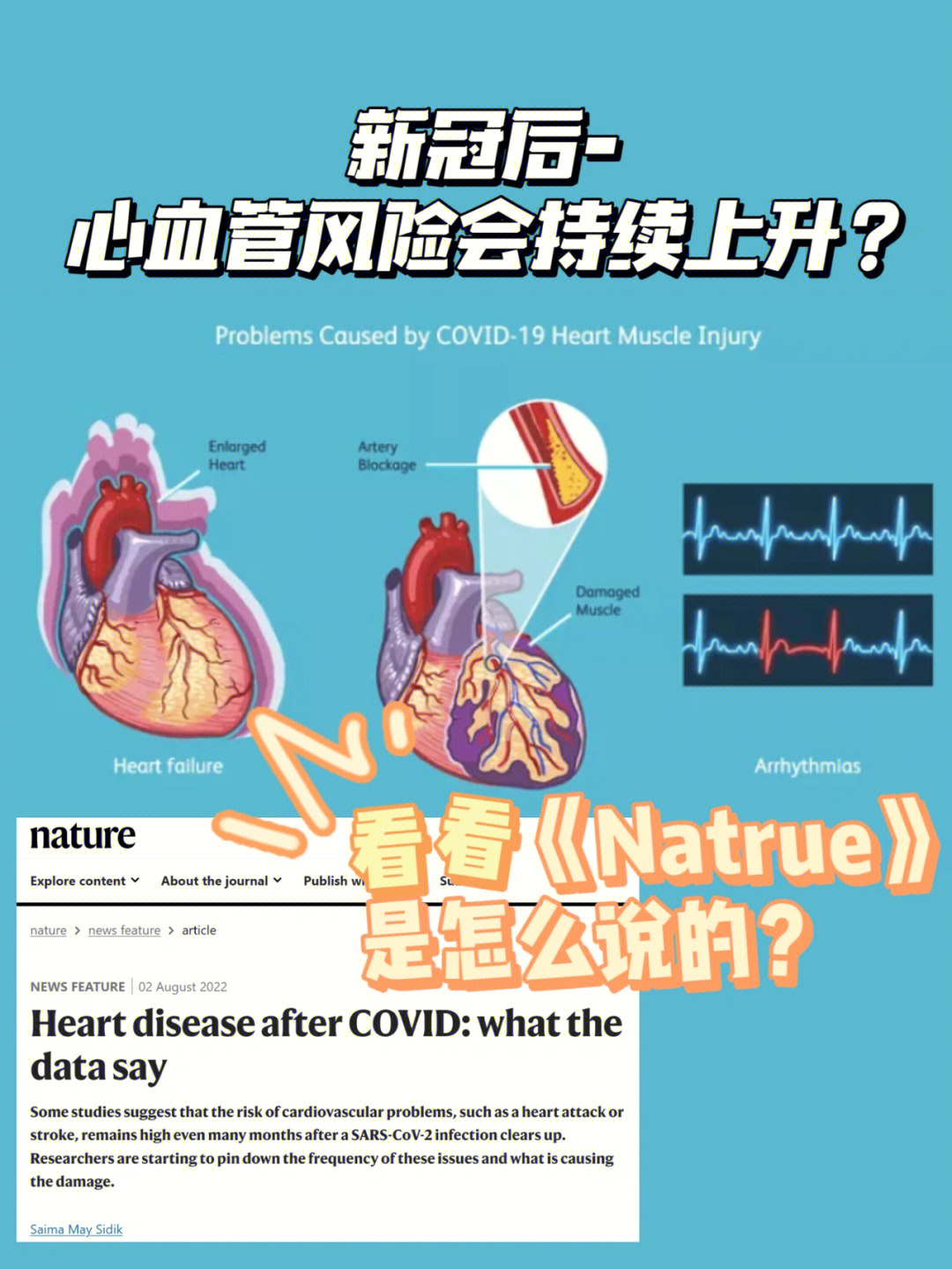 新冠风险分布图图片