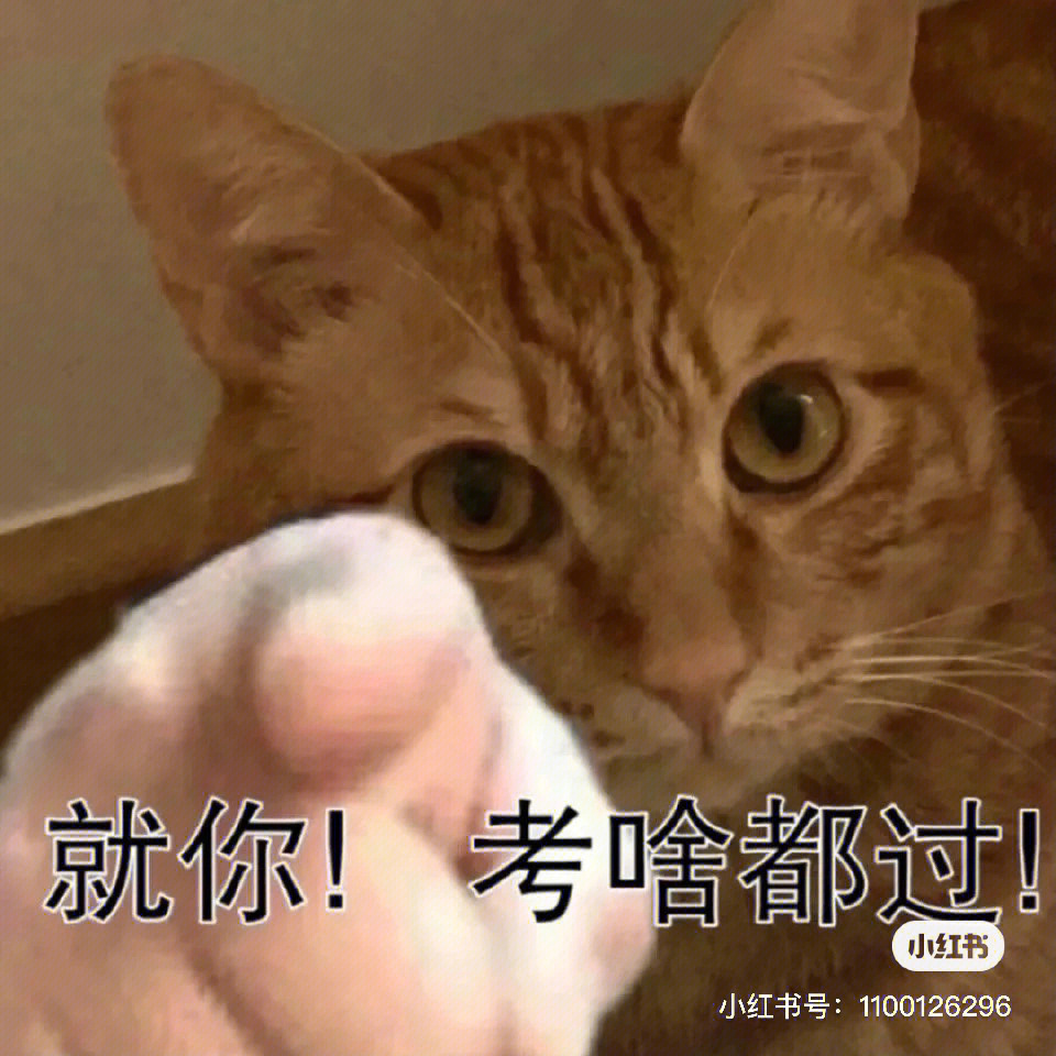 稳过