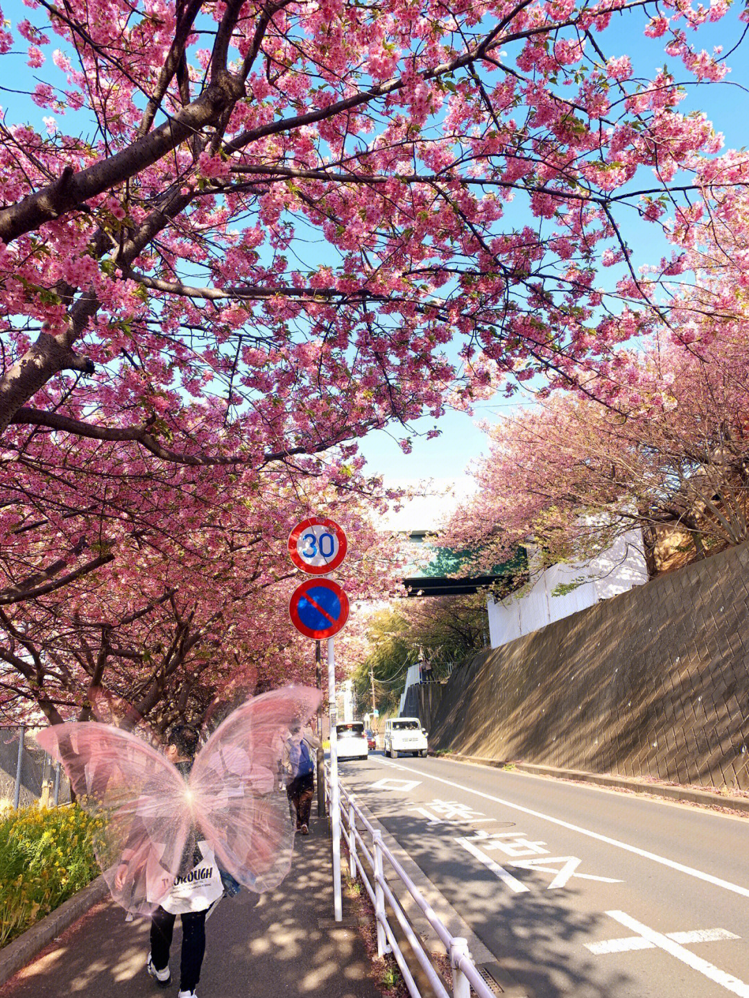 三浦海岸路图片