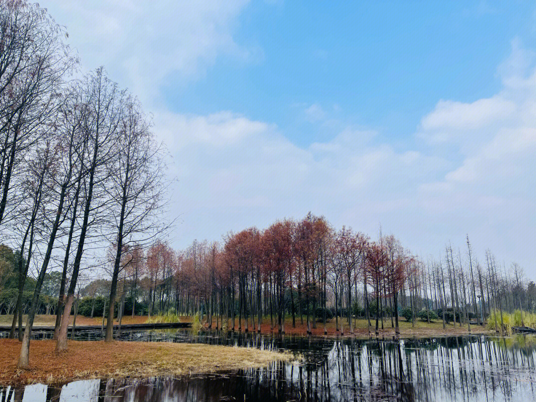 长广溪湿地公园介绍图片