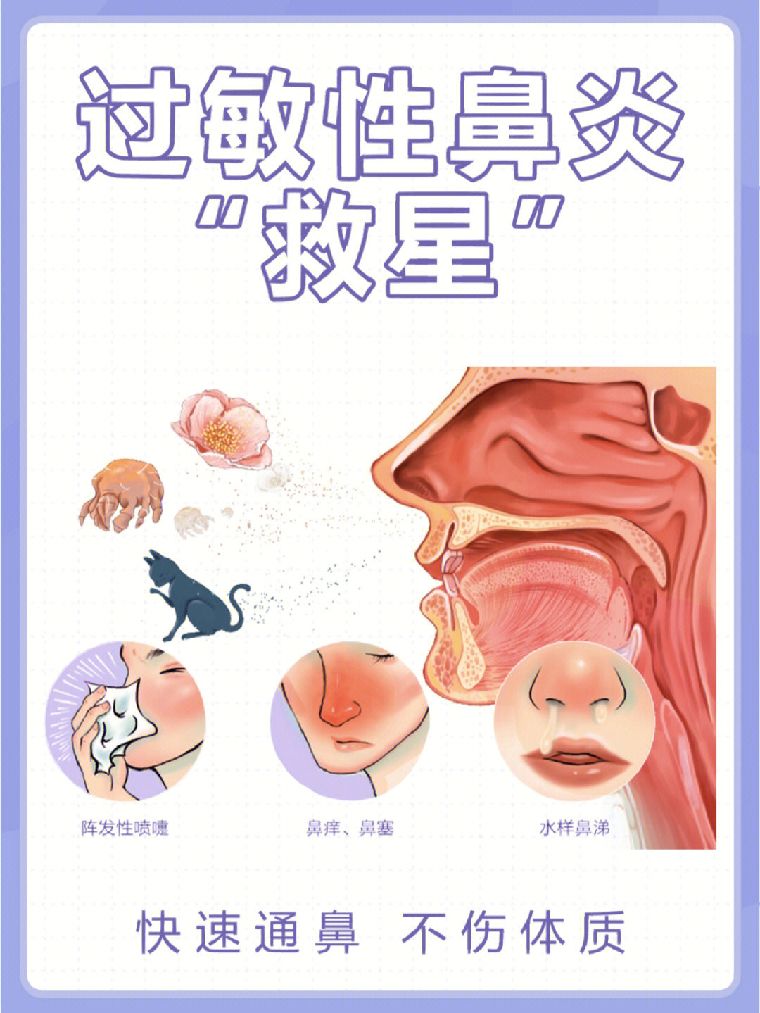 过敏性鼻炎救82快速通鼻不伤体质