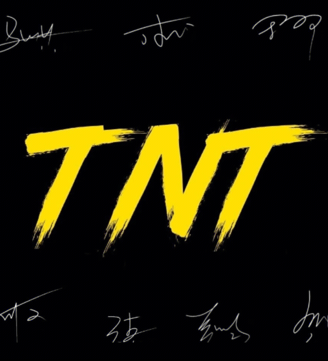 TNT团体标志图片