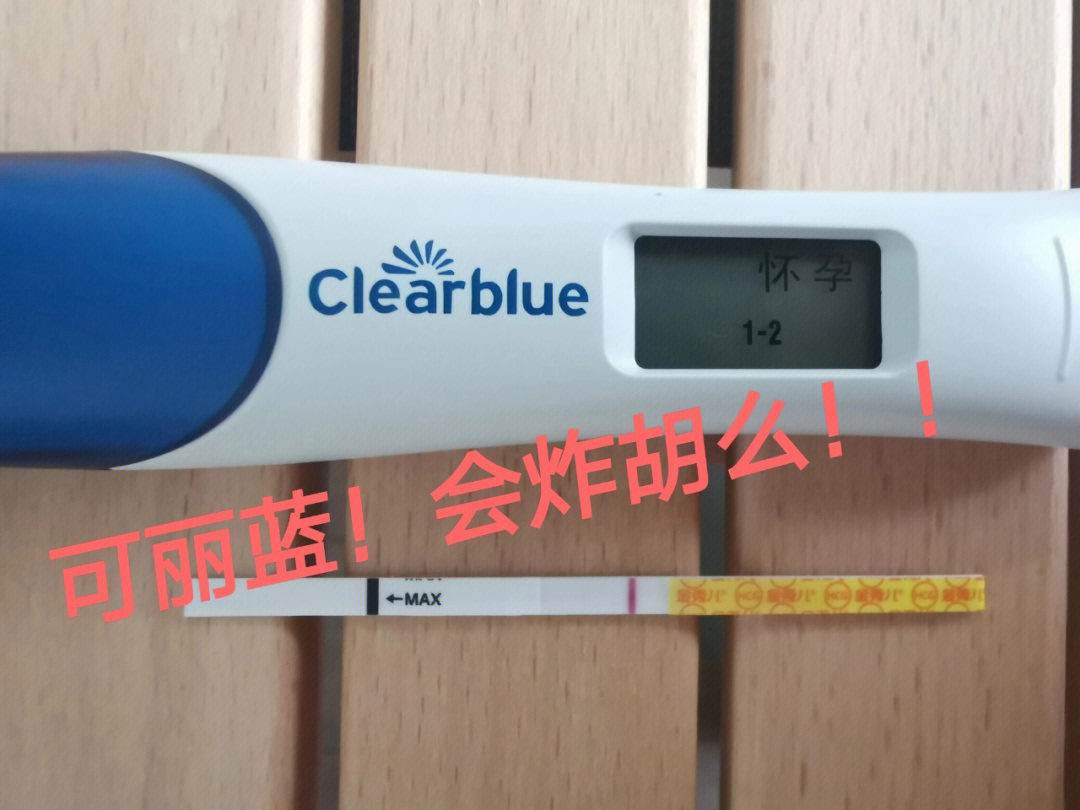 可丽蓝到底会不会炸胡!备孕期新手小白进