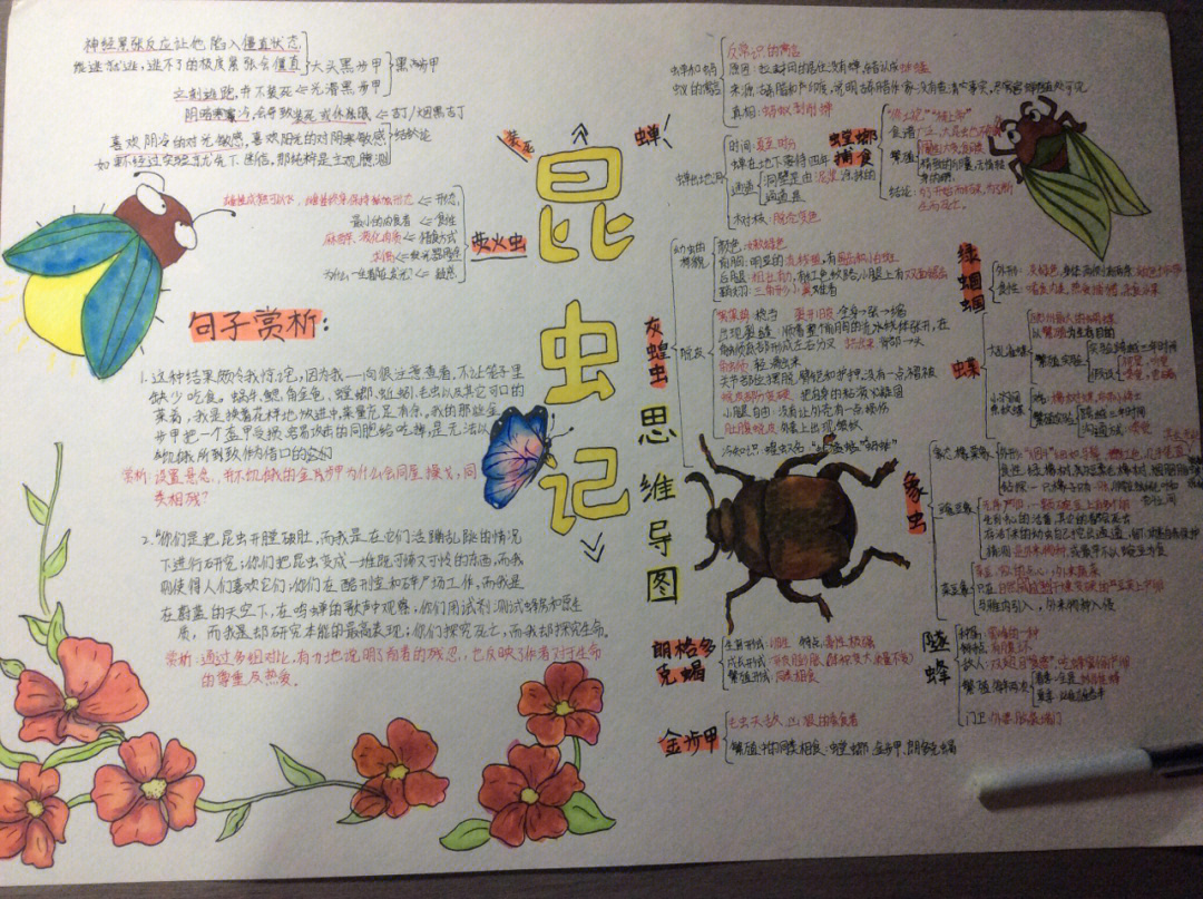 昆虫记思维导图