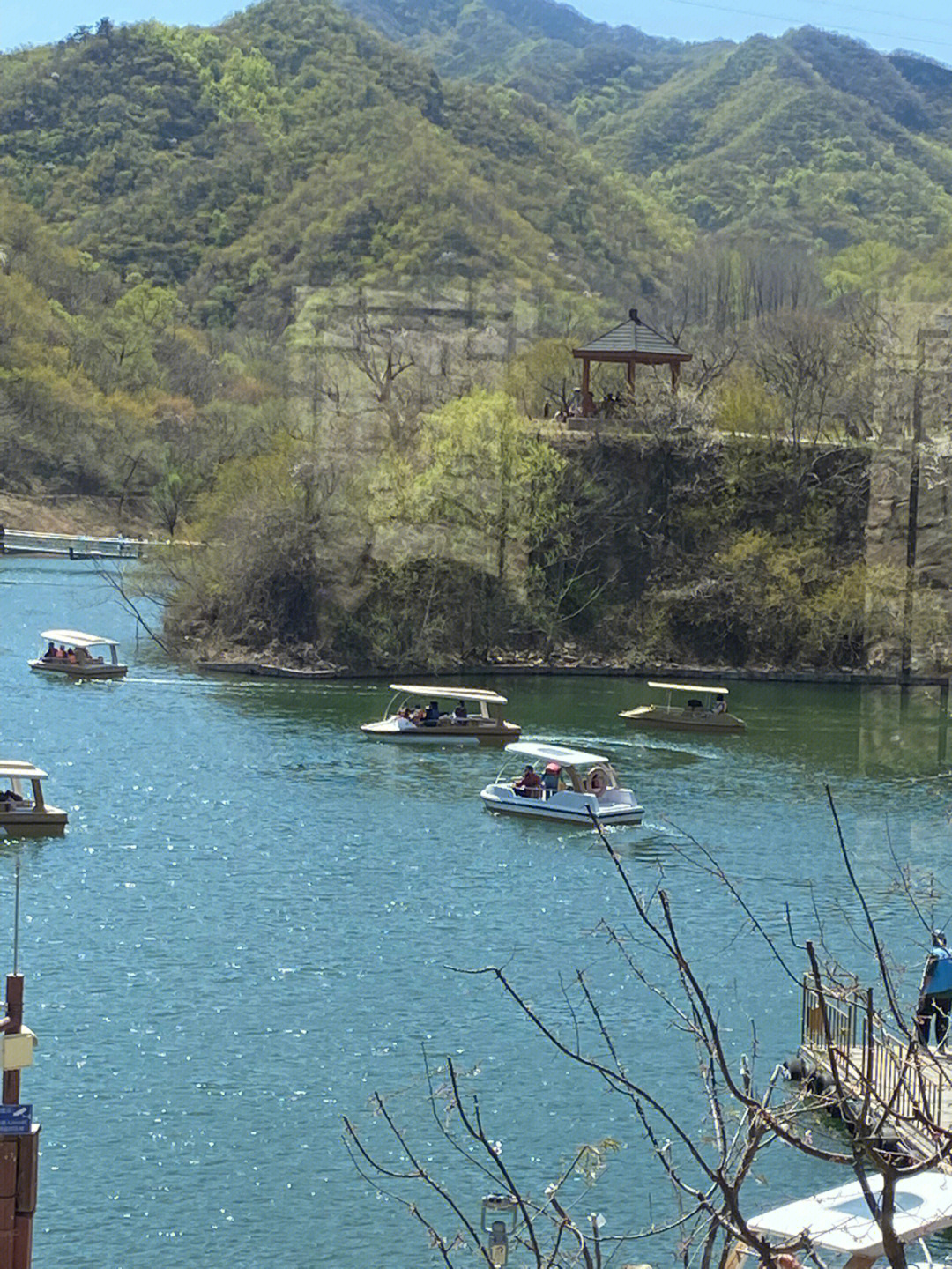 黄花水长城 桃花图片