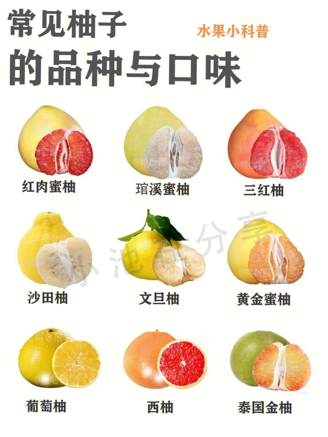 常见柚子如何挑选区别品种和口感