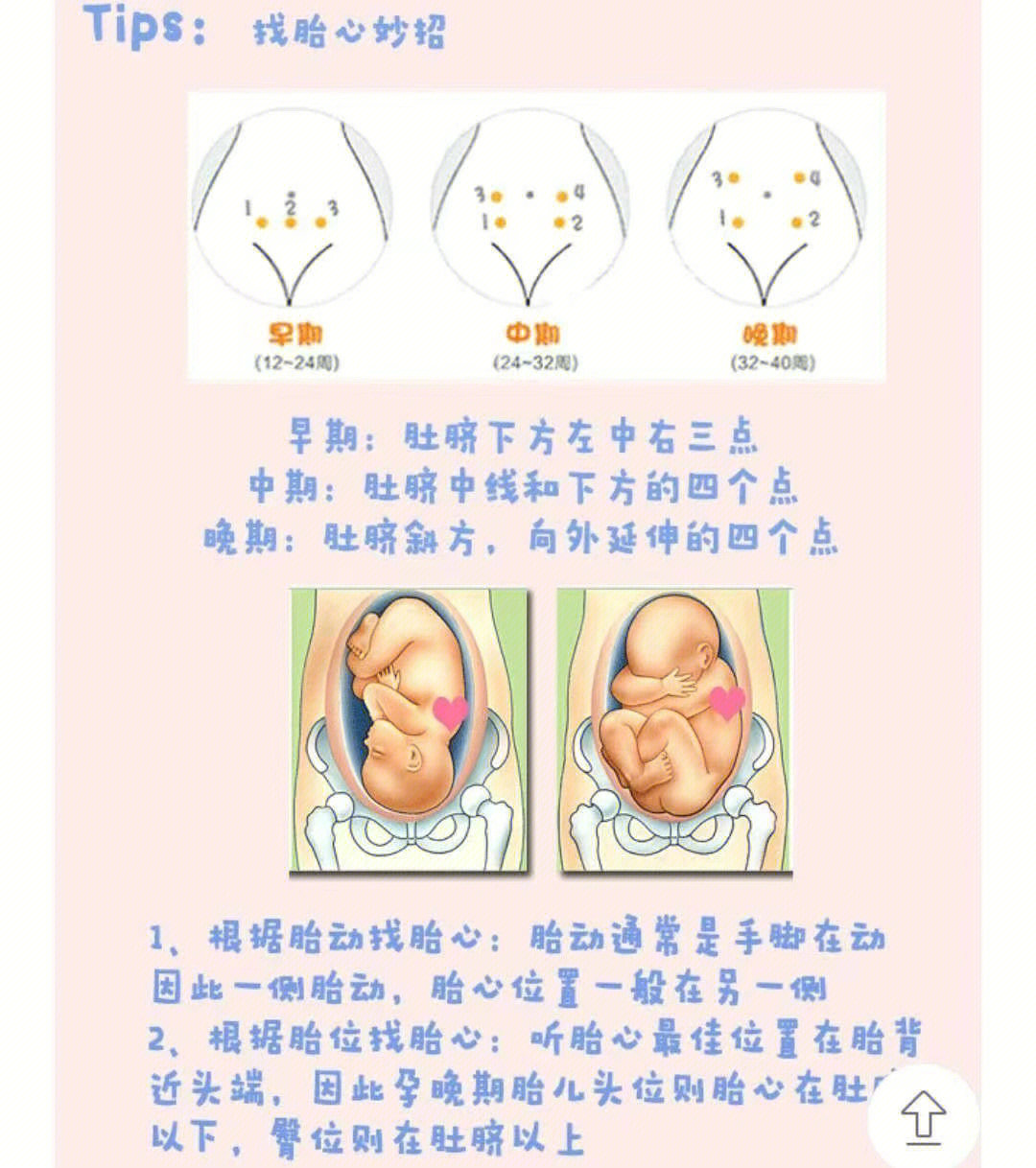 孕晚期胎心位置示意图图片