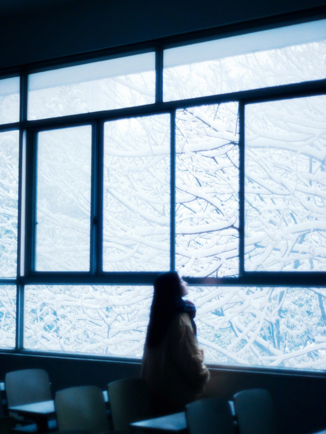 隔窗望雪的图片图片