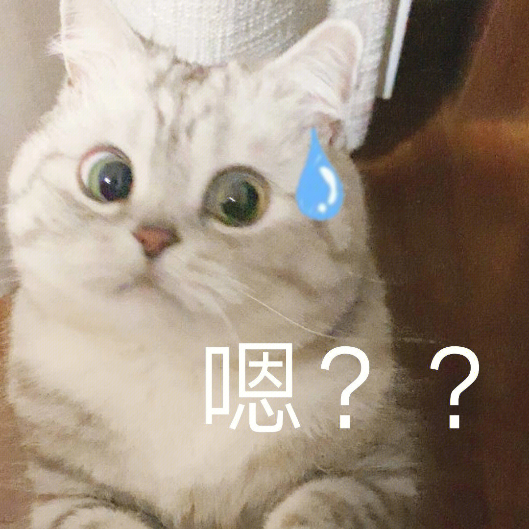 还是猫咪表情包