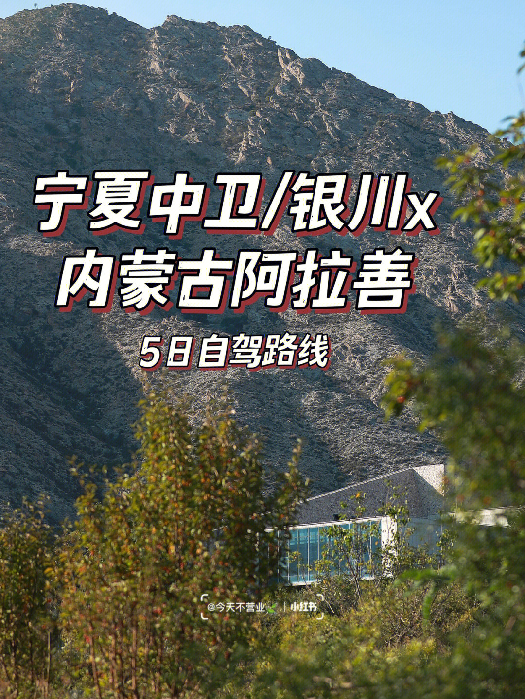 宁夏中卫x内蒙古阿拉善五日自驾路线推荐