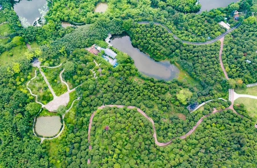 东莞虾公山森林公园图片