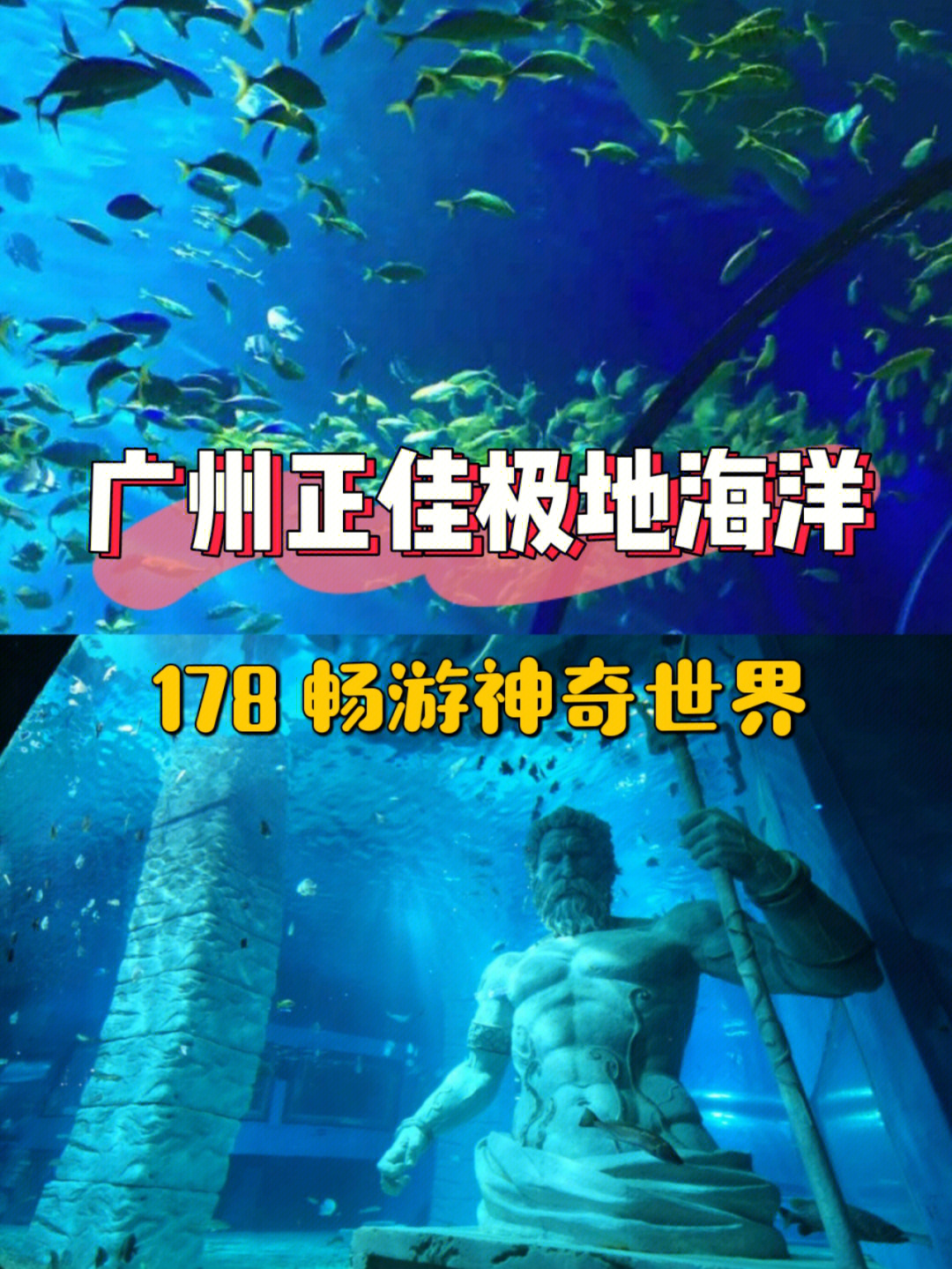 广州正佳海洋馆攻略图片