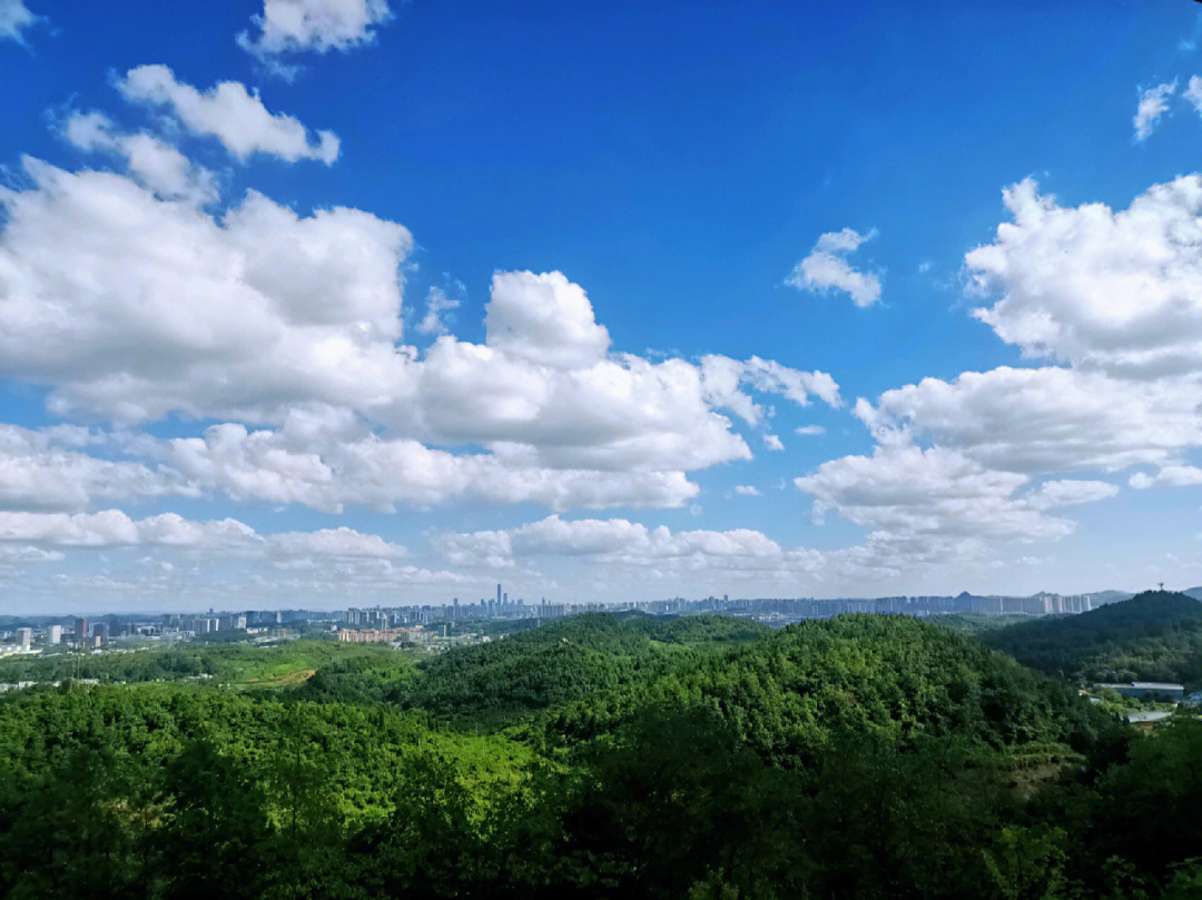 一个视野超级好的山坡坡靛山村