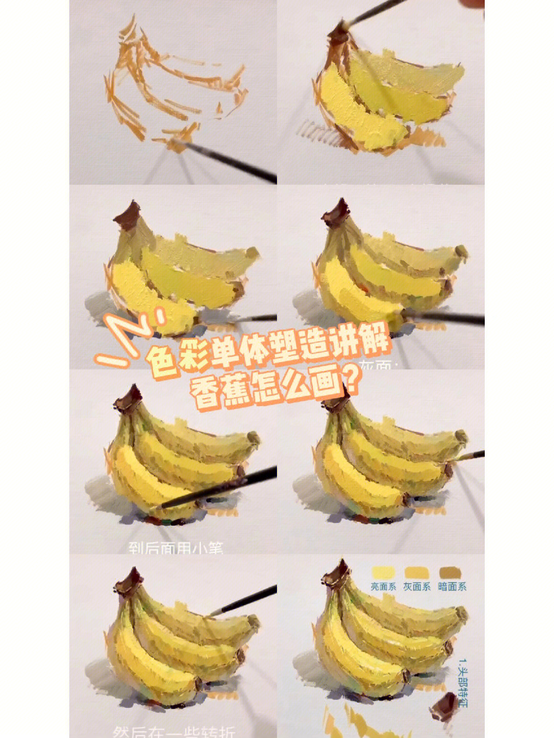 水粉画香蕉教程图片