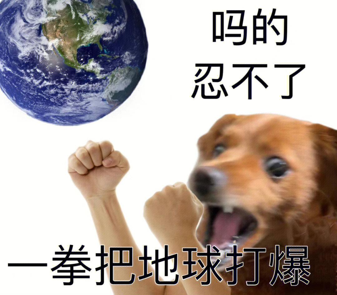 乱杀熊猫头图片