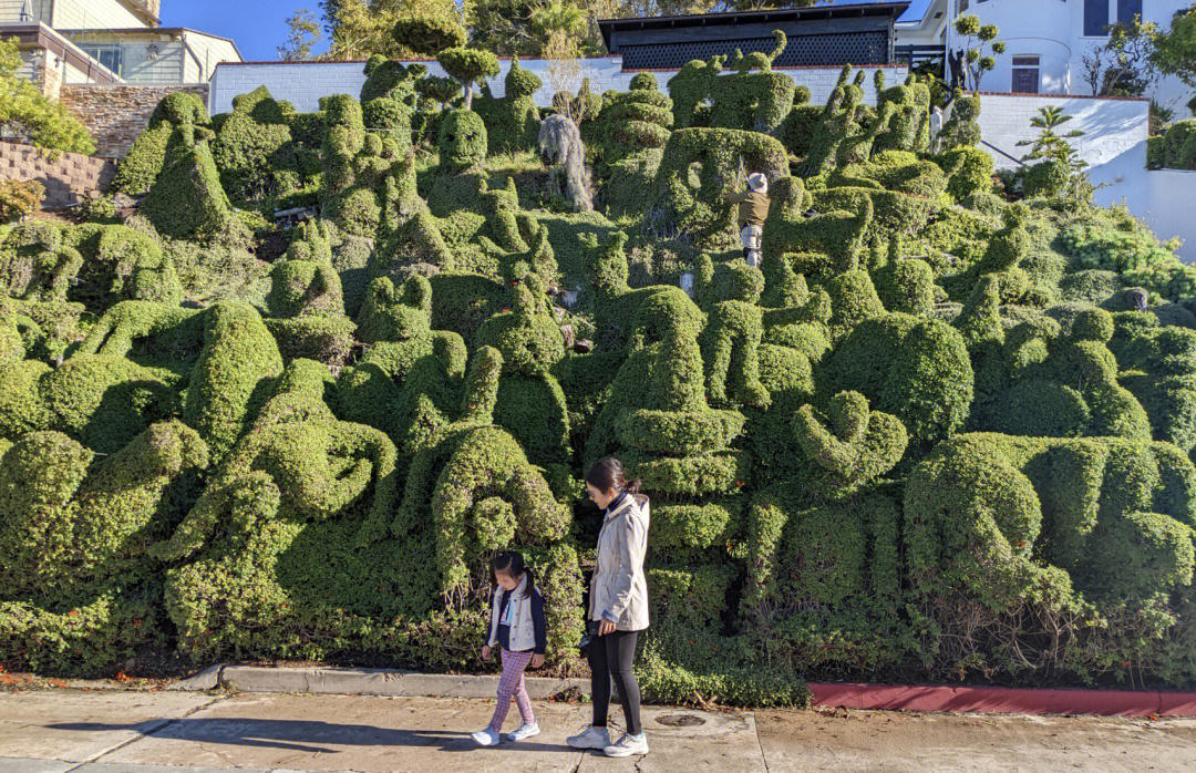 江油加州阳光图片