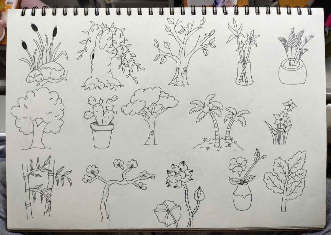 概括法简笔画植物图片