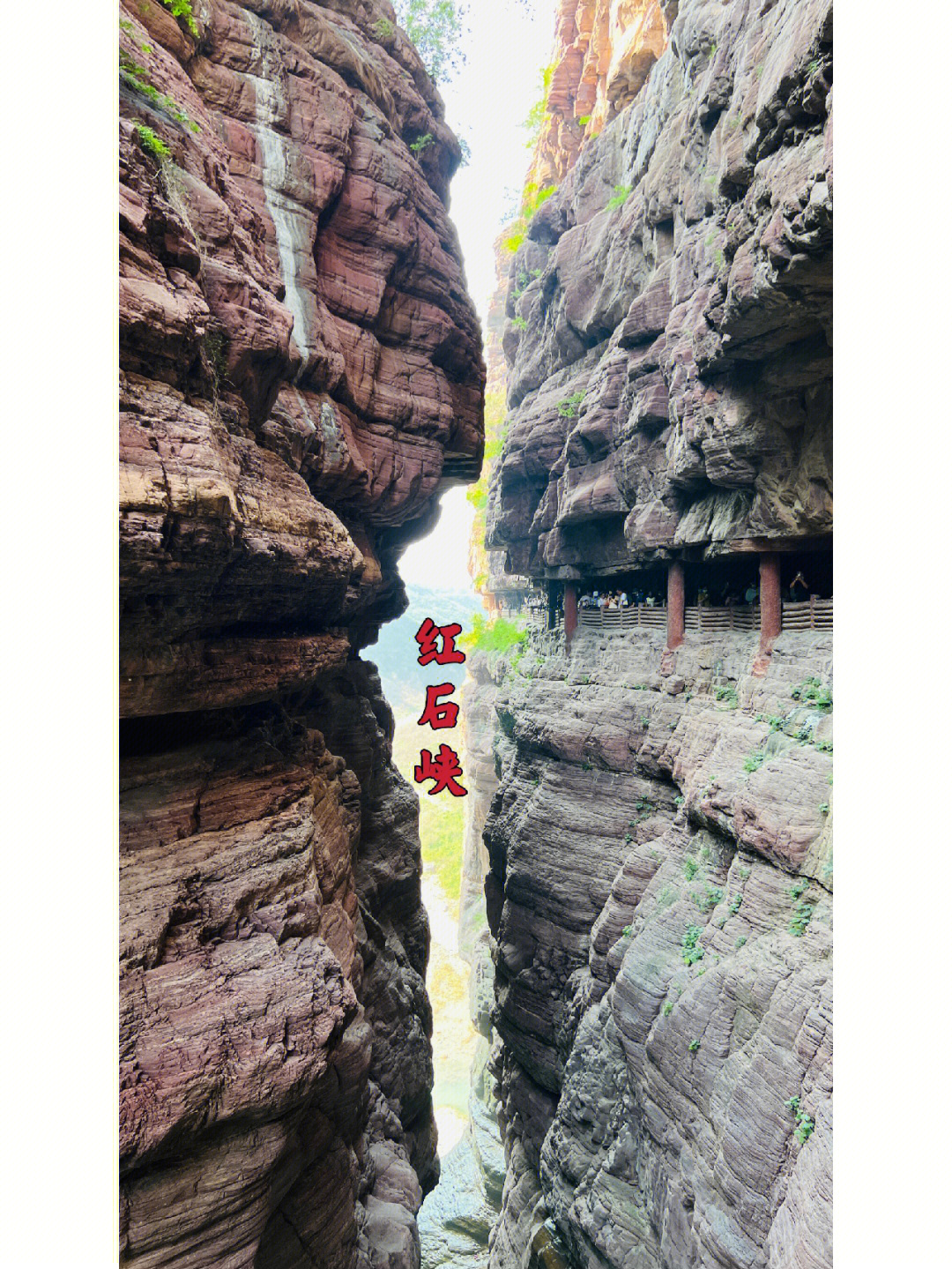 北京红石峡：火红海洋中的巨龙与仙女
