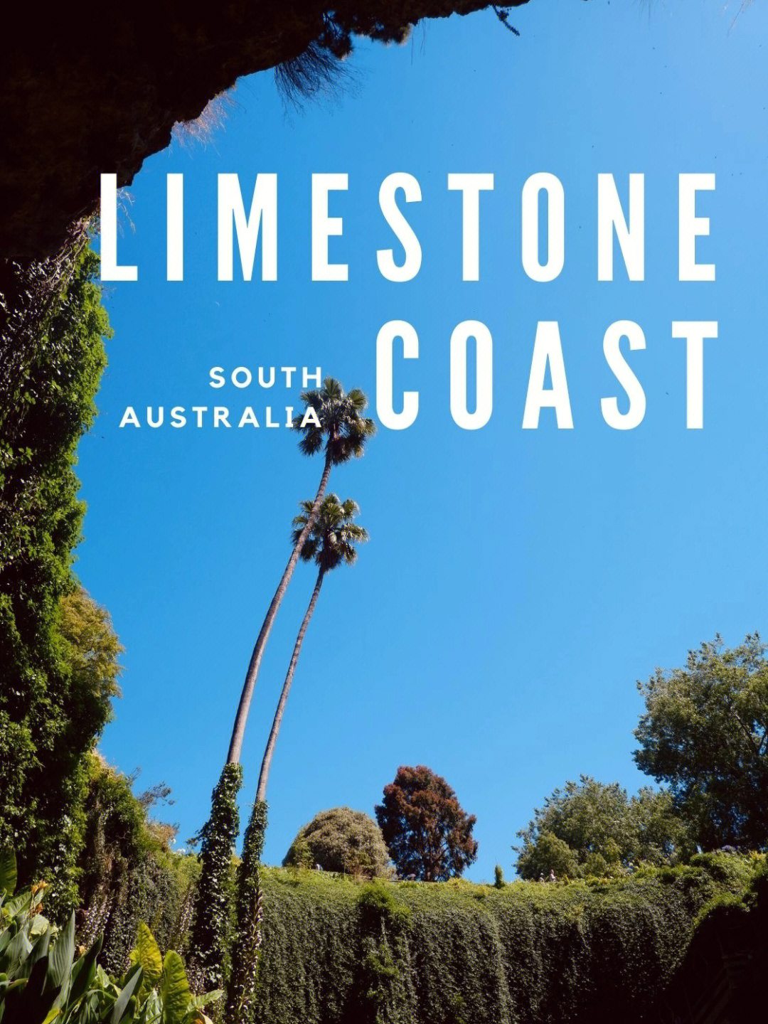 limestone coast 红酒图片