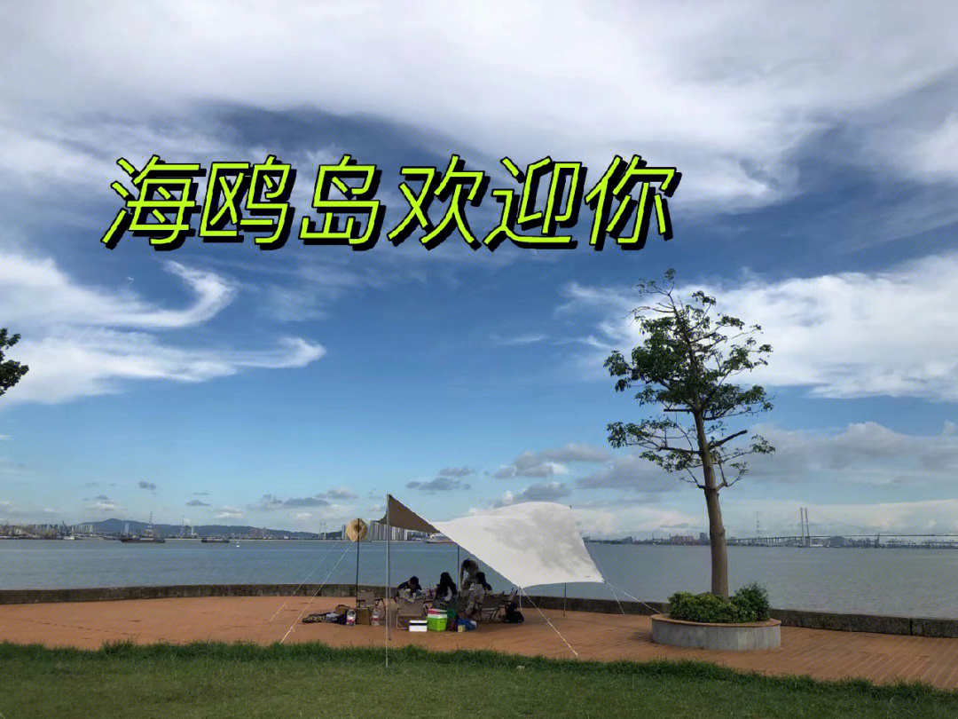 去不了诗和远方那就到海鸥岛露营