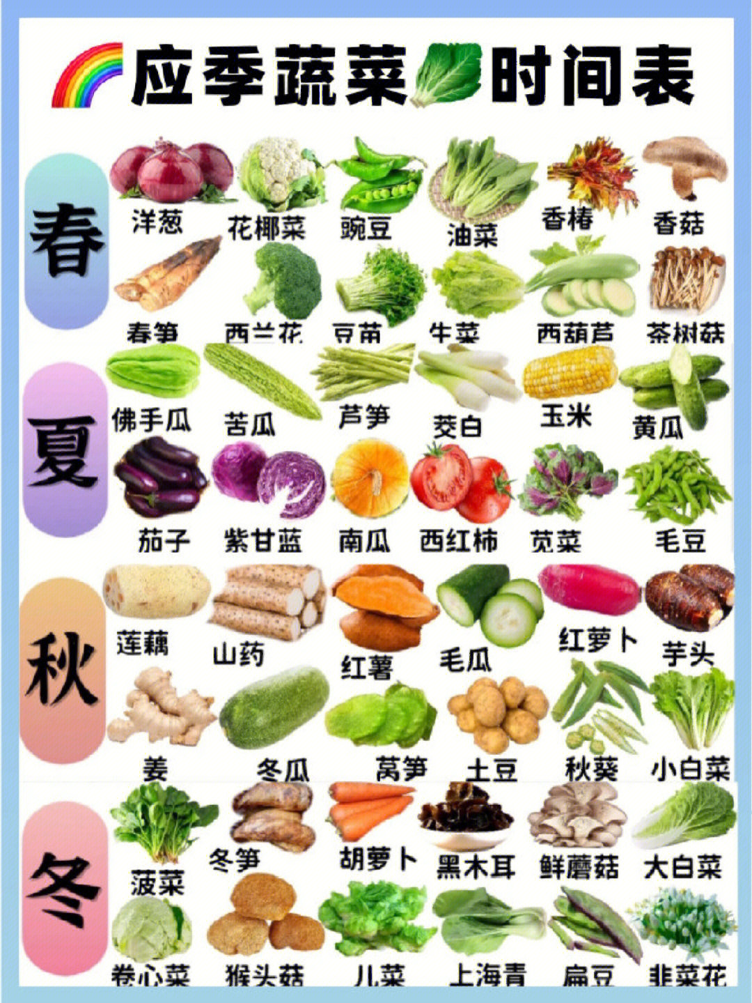 反季蔬菜一览表图片