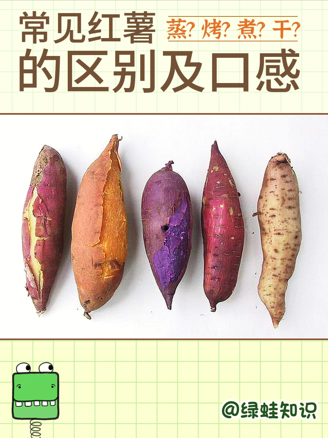 红薯的品种介绍图片图片