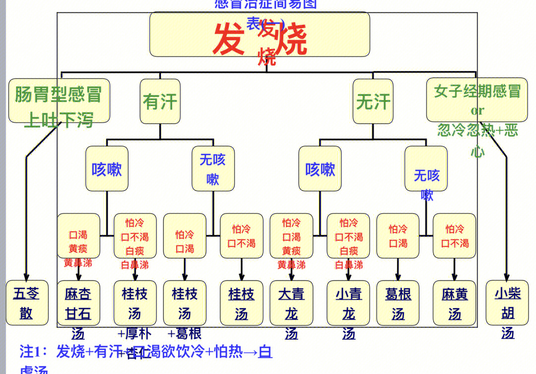 倪海厦感冒经方图表