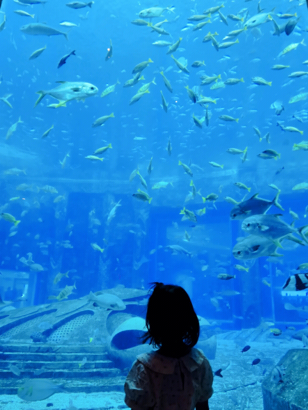 亚特兰蒂斯水族馆