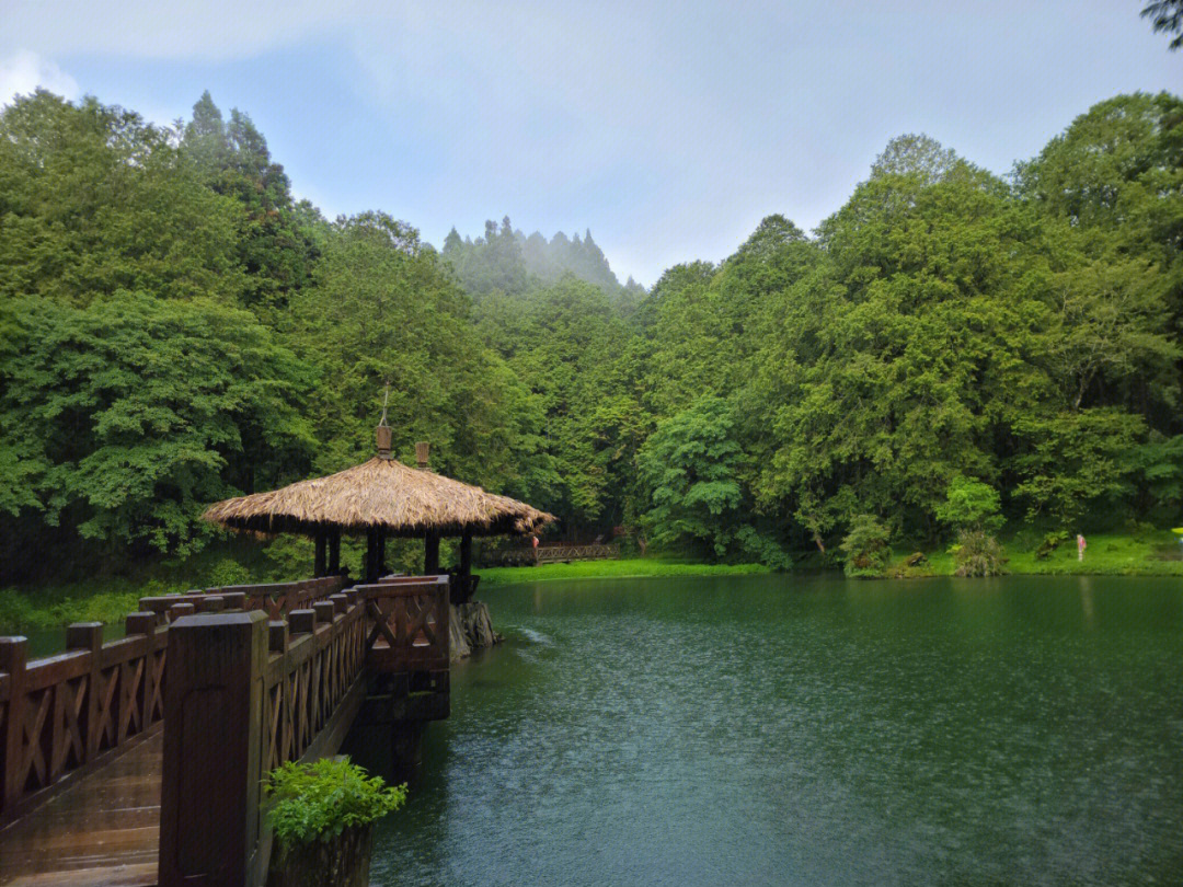 台湾阿里山