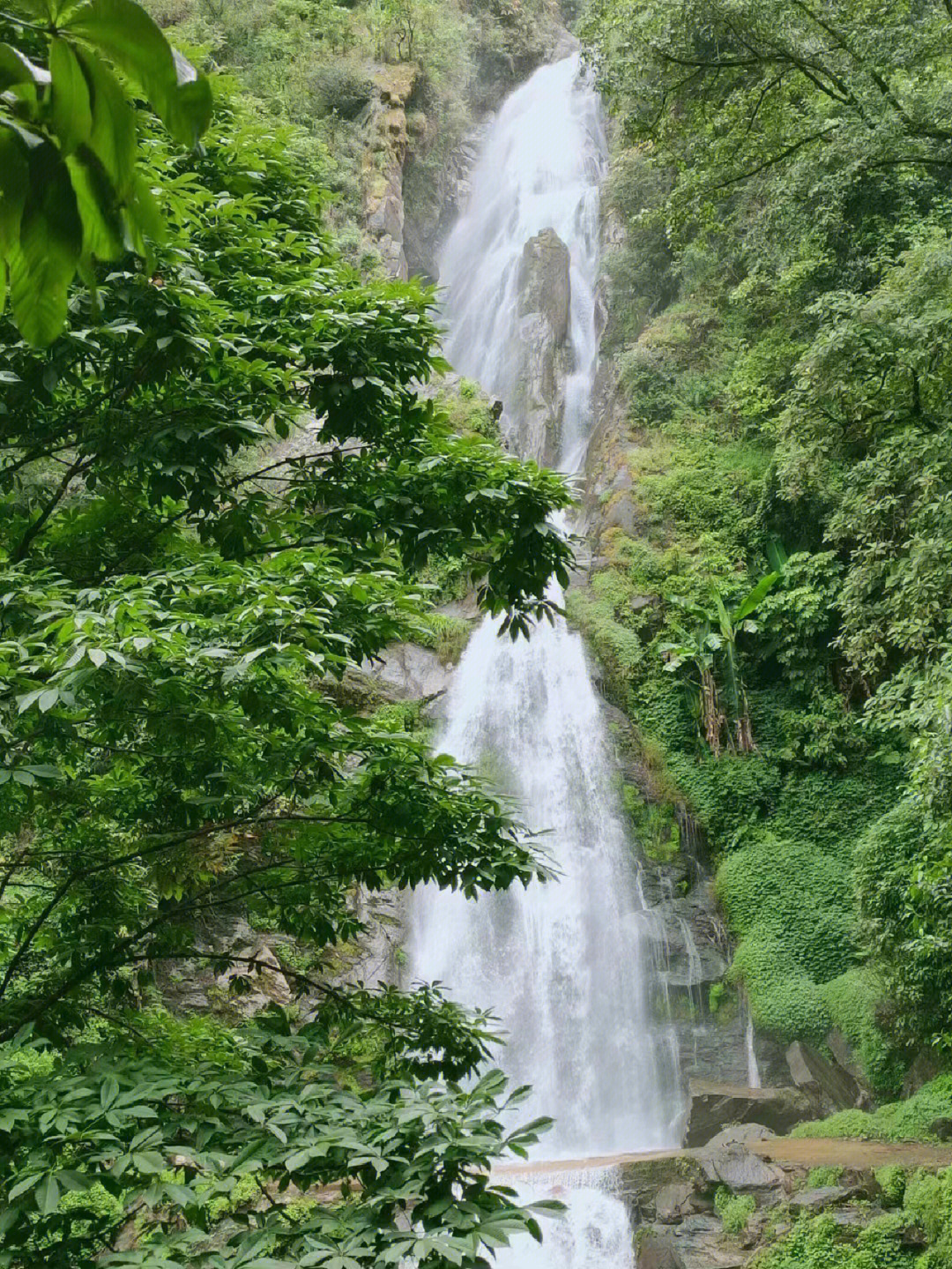 镇沅千家寨风景区图片