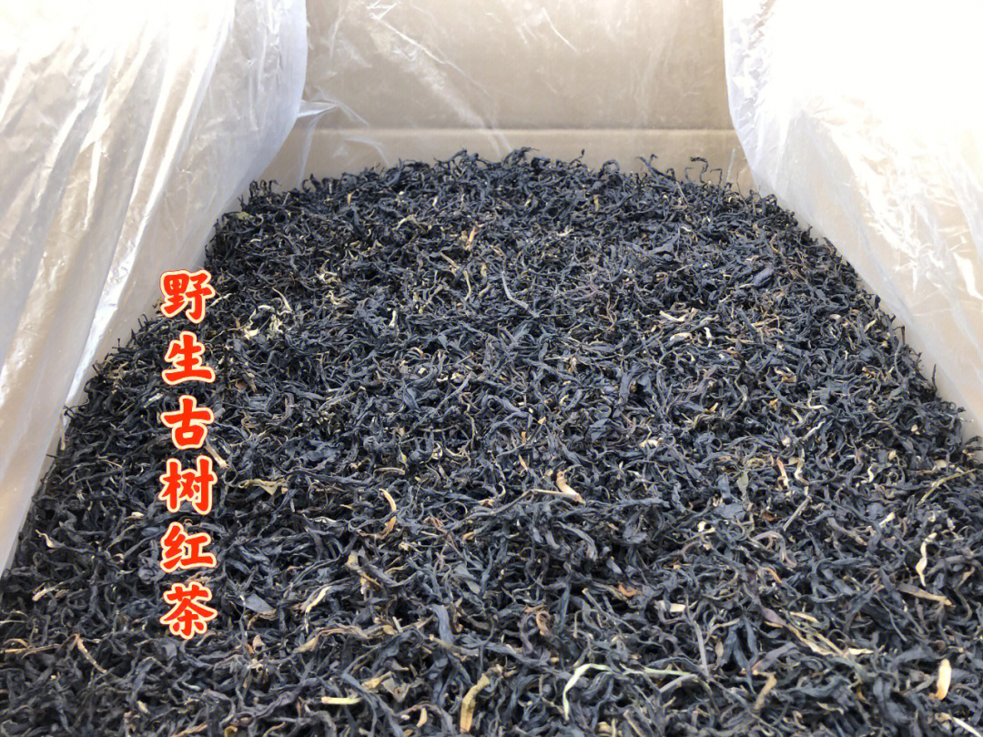 野生古树红茶价位图片