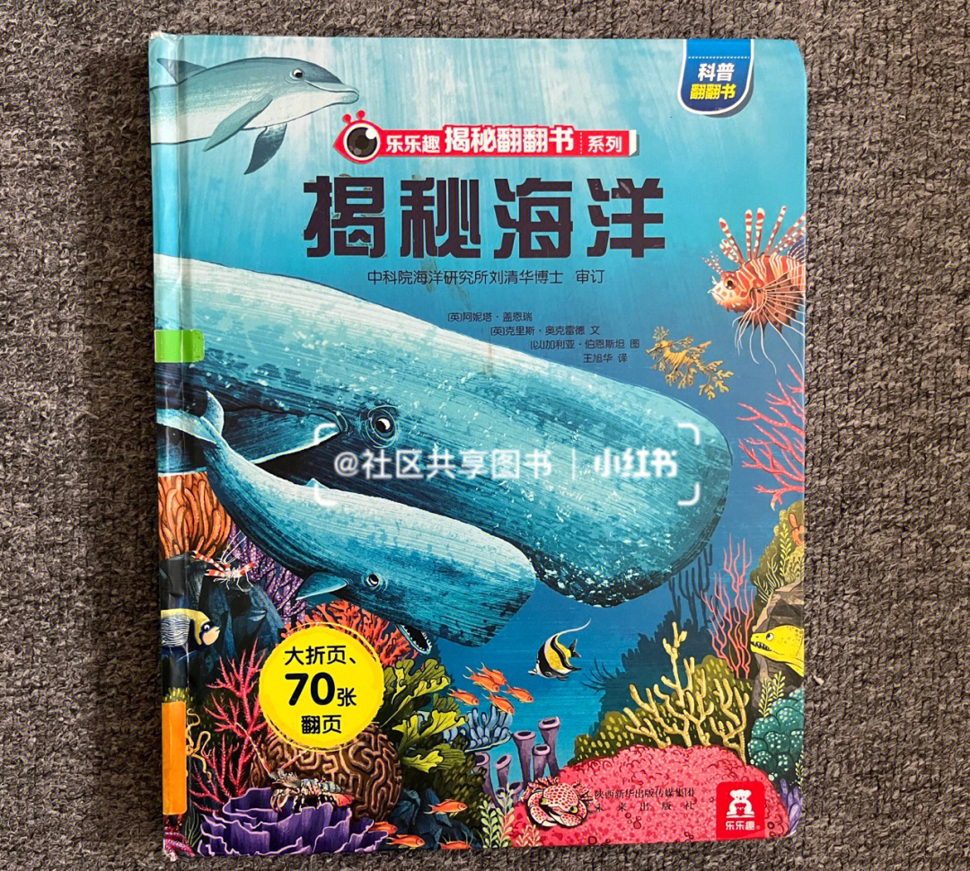 暑假阅读14丨揭秘海洋动物科普绘本翻翻书