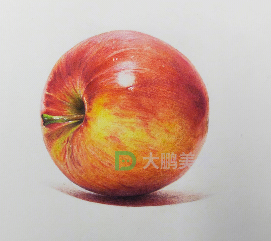 彩铅苹果 临摹图片