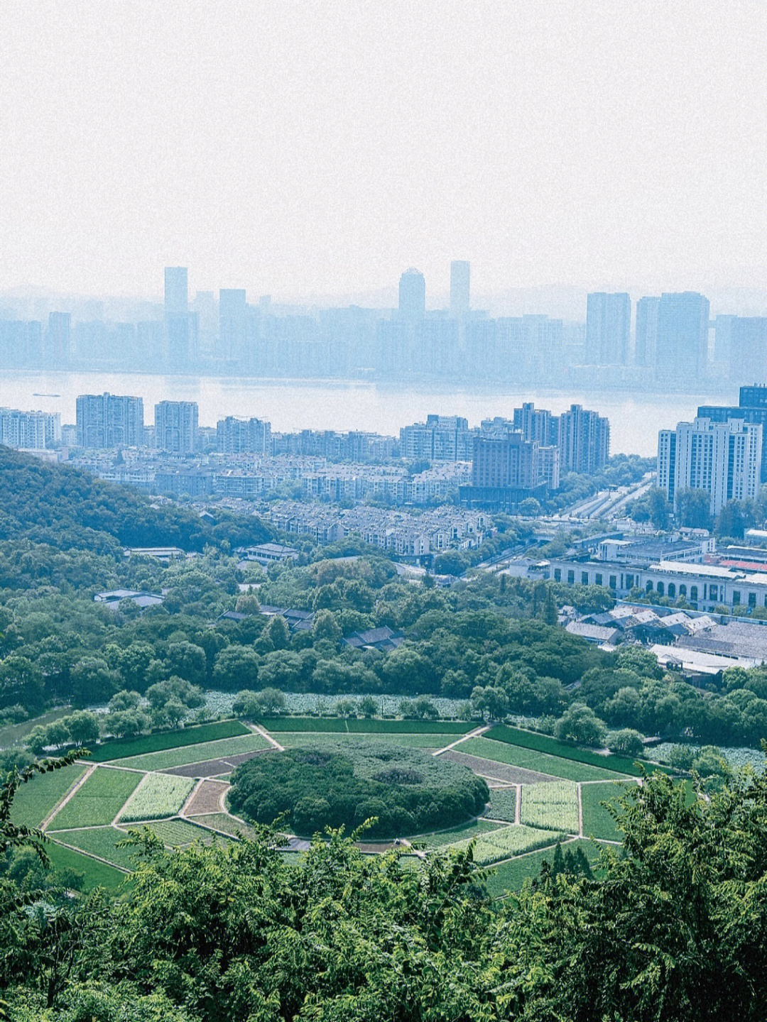 杭州凤凰山和玉皇山图片