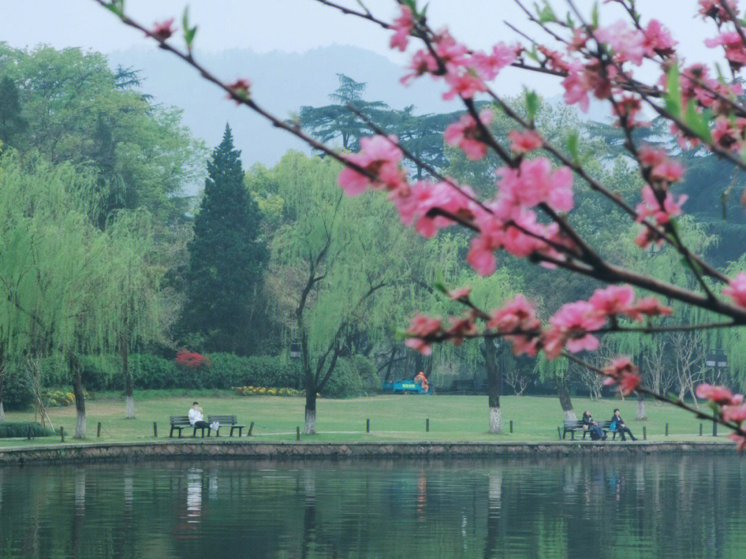 湖州滨江湖畔春晓图片