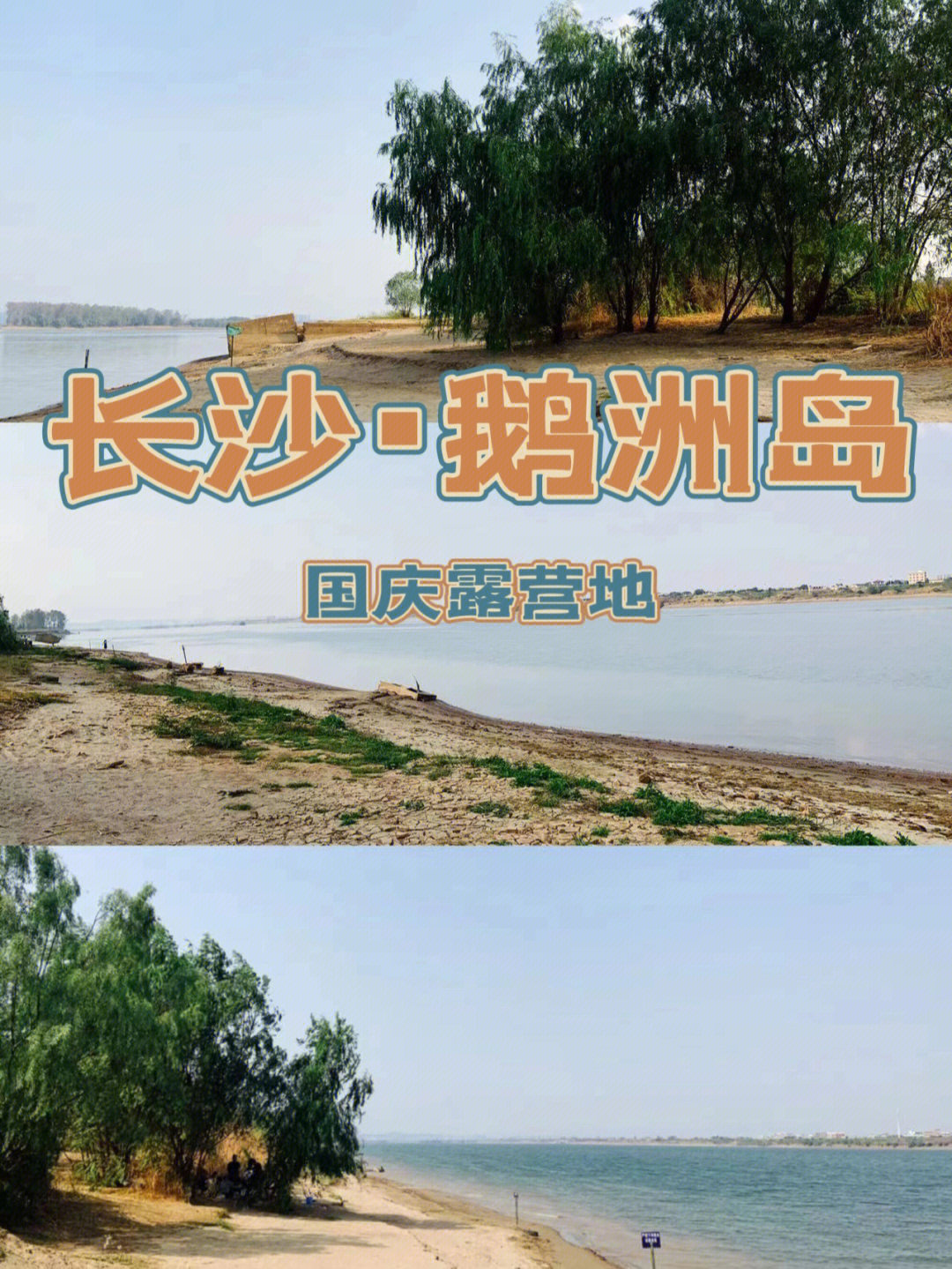 鹅洲岛钓鱼图片