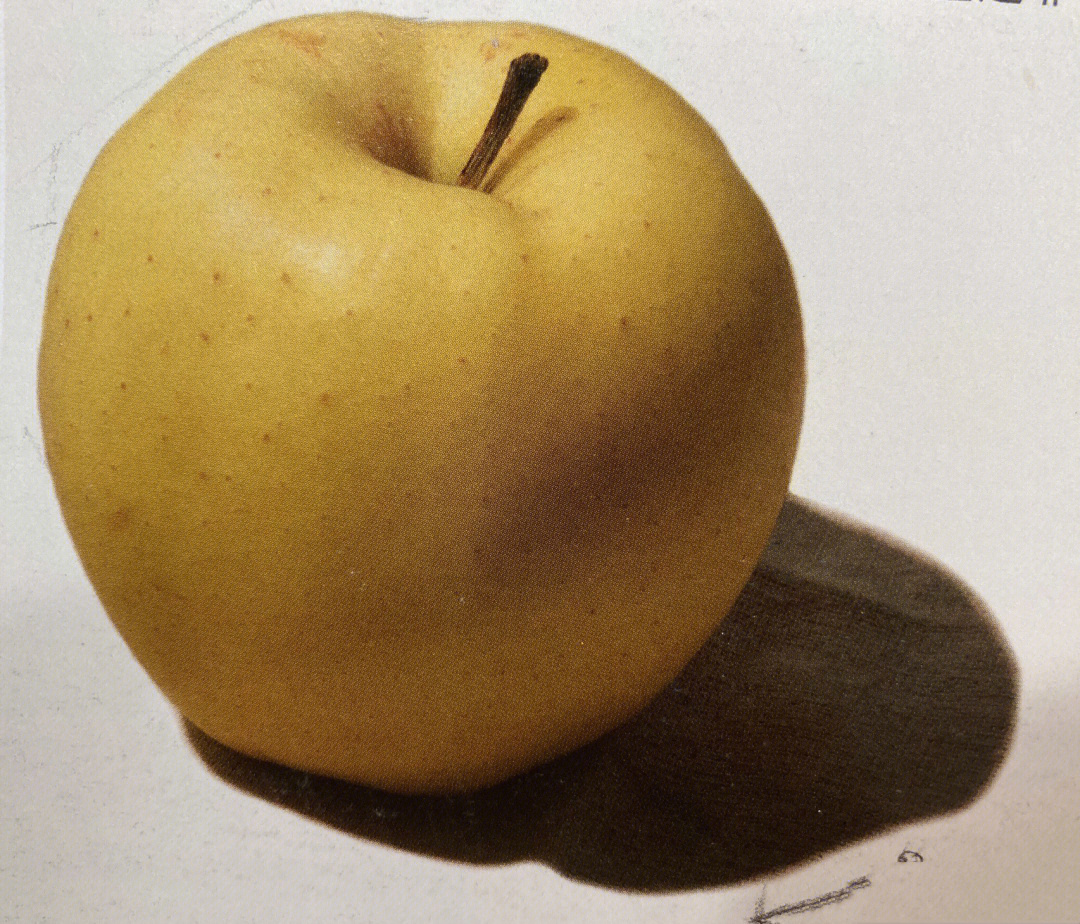 素描苹果怎么画 简单图片