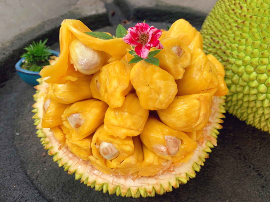 化州珍珠菠萝蜜图片