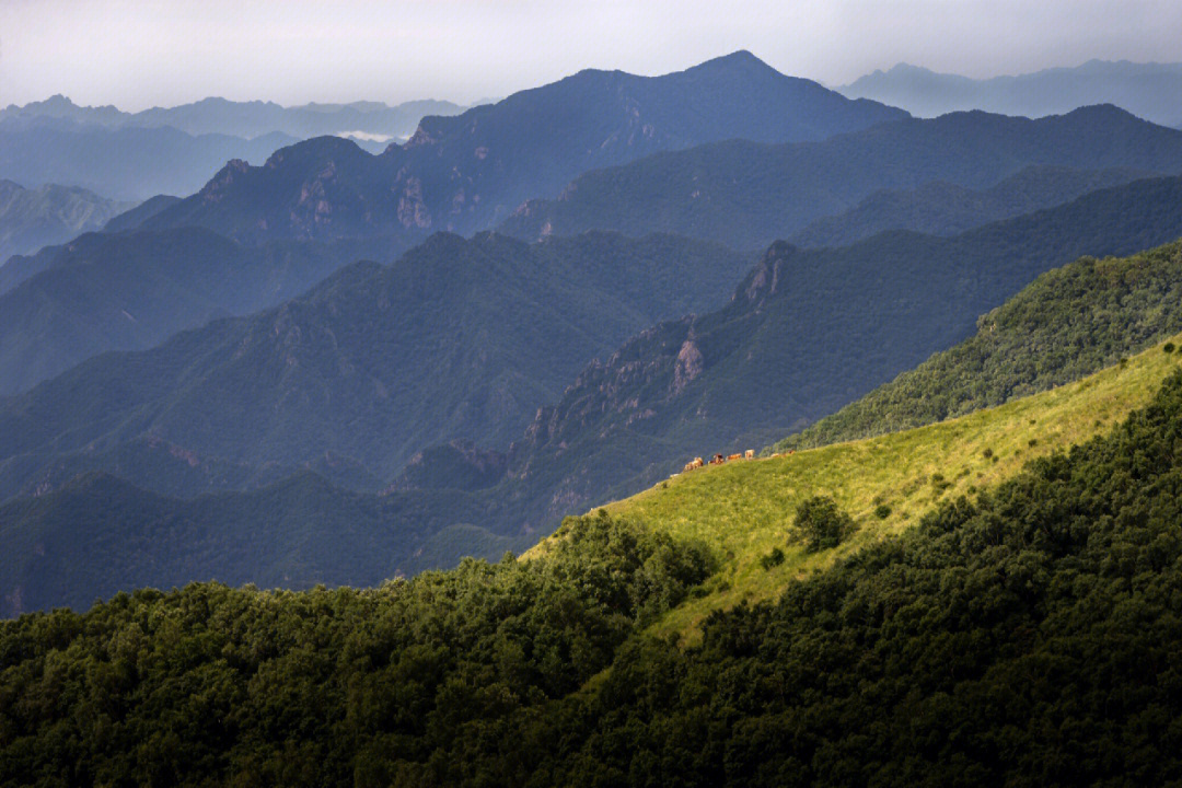 东灵山寺庙图片