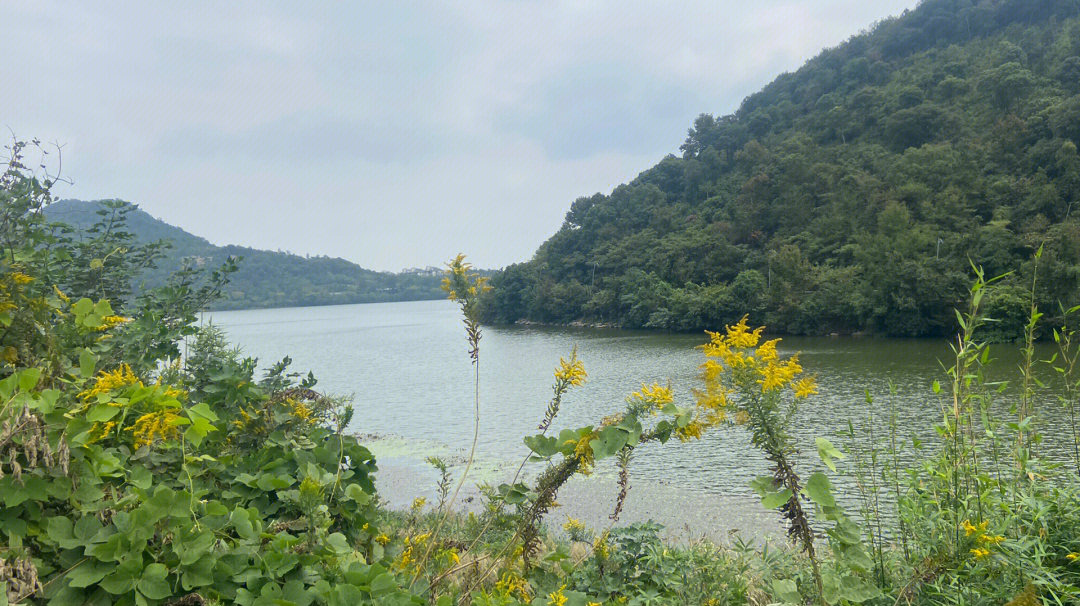 荪湖北山游步道路线图图片