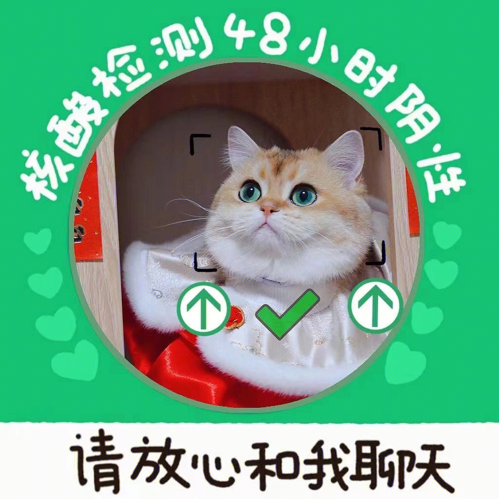 猫猫测核酸表情包图片