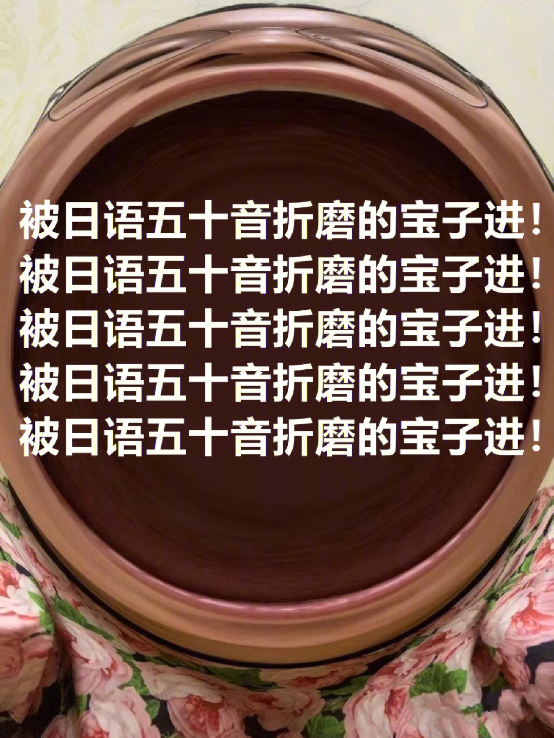 小橙了解到有很多宝子想自学日语,结果卡在了日语入门的五十音图,甚至