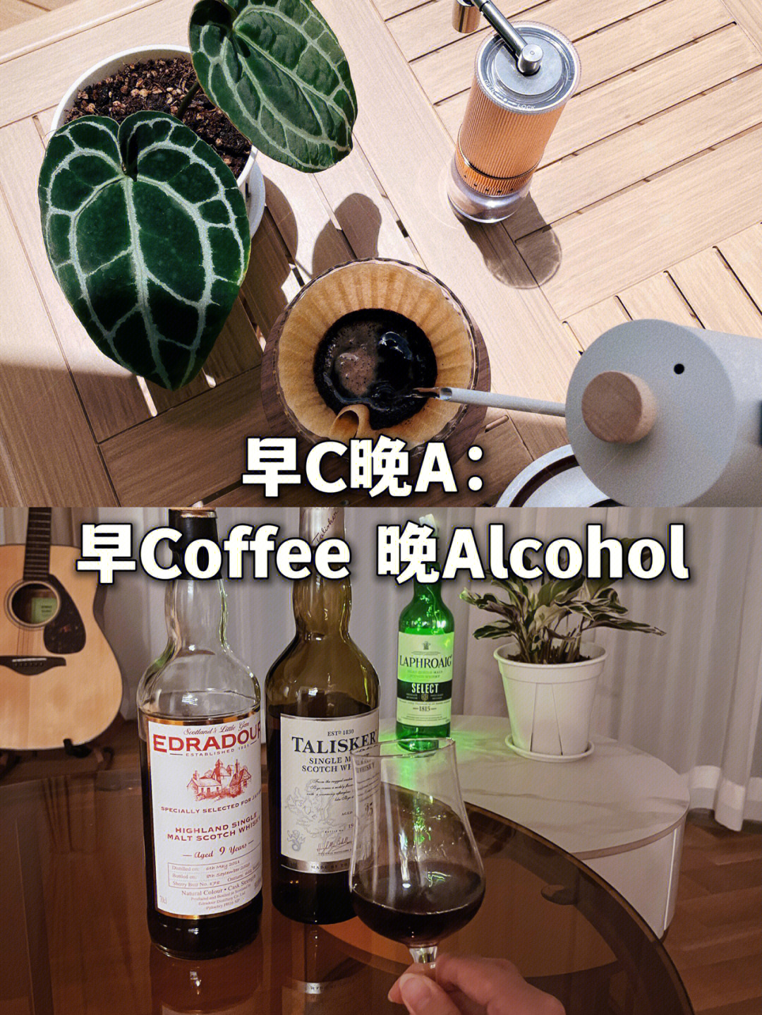 男生的早c晚a早coffee晚alcohol,要微醺也要清醒分享一下最近在喝的日