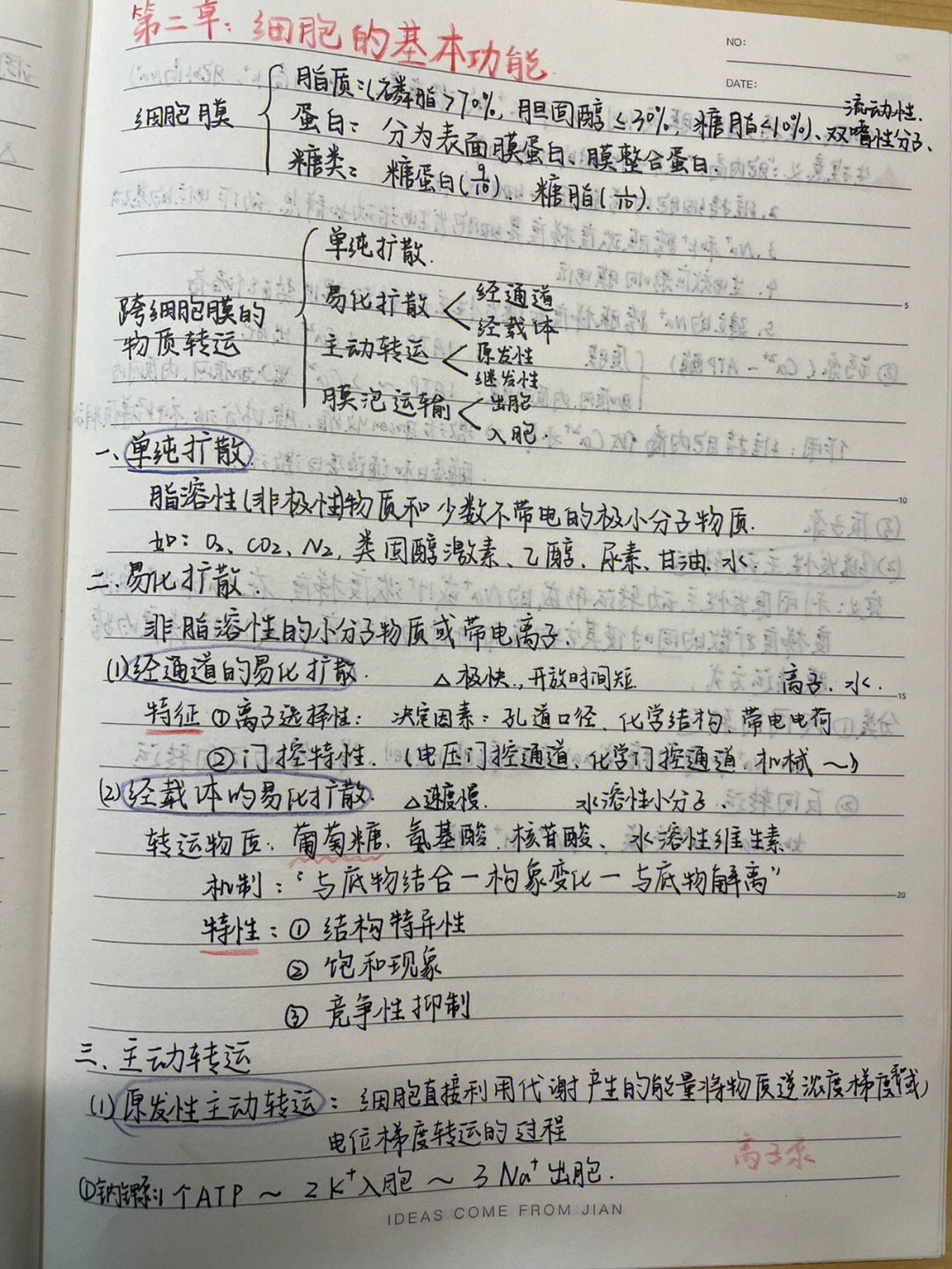 难好难,整理了好久,一次只能放9张照片,剩下来的在下一篇笔记