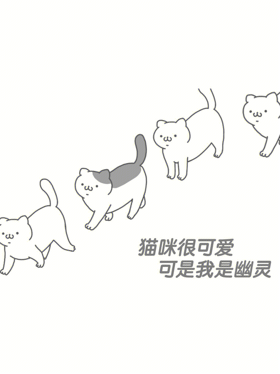 猫咪很可爱可是我是幽灵如果你也喜欢猫