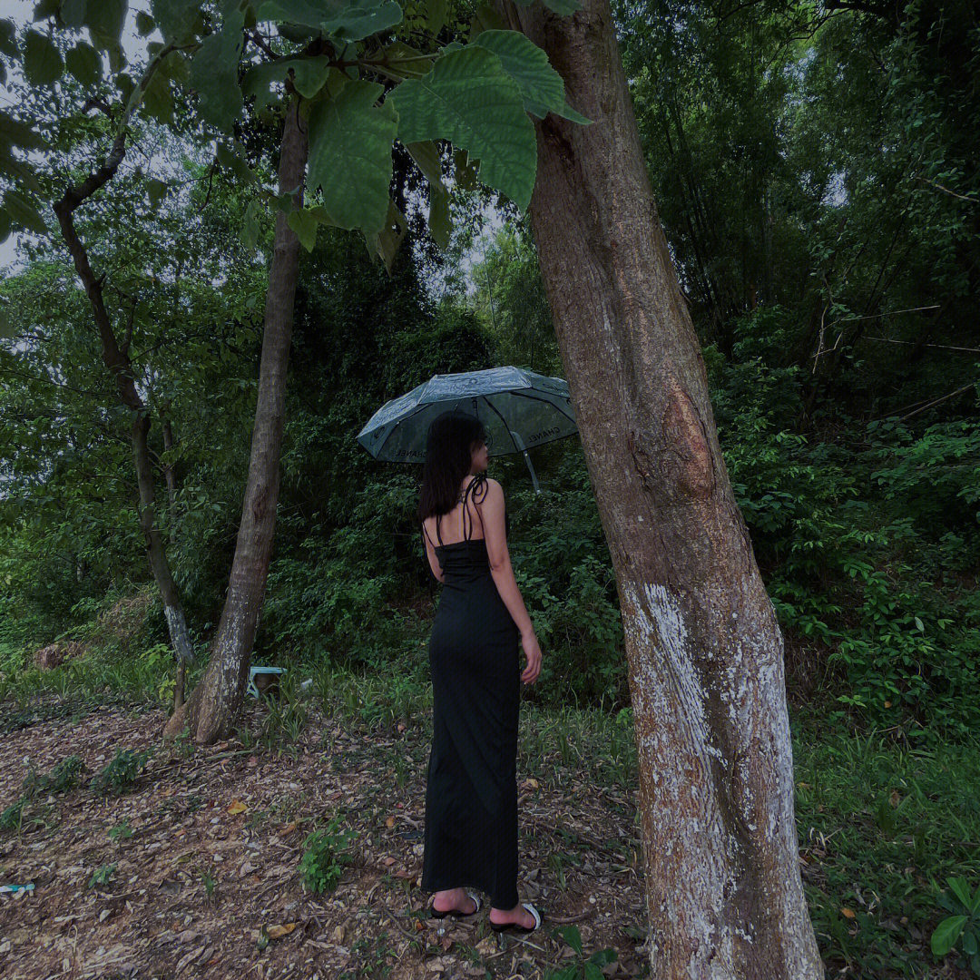 雨中人心理测试图片图片