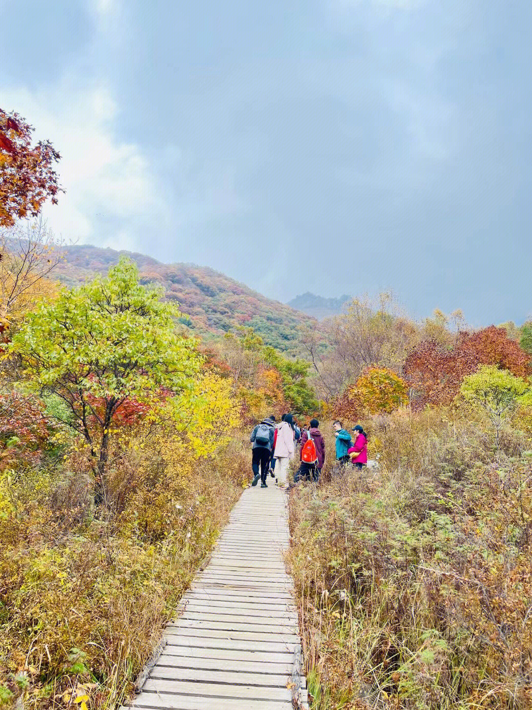 聚灵峡灵山古道图片